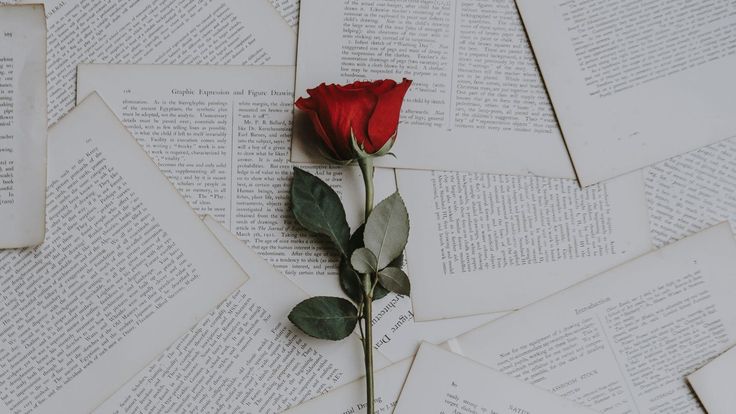 “Rose” Lebih dari Sekadar Mawar? Ini Makna Lain yang harus kamu tahu!